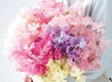 3月｜「木花咲屋」　（長野県諏訪市の花キューピット加盟店 花屋）のブログ